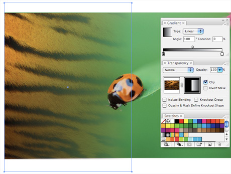 Photoshop Apply Transparent Gradient