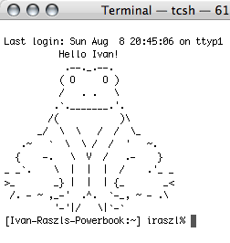 personalized Terminal greeting