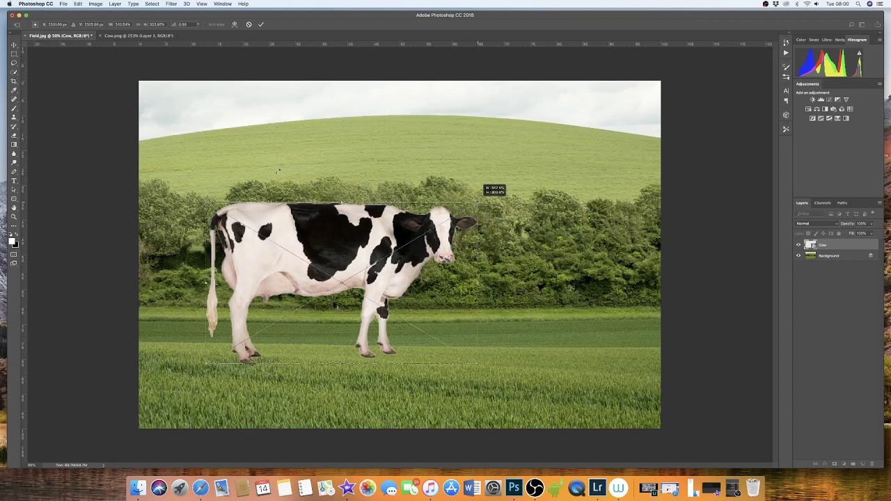 how to add an image in adobe photoshop