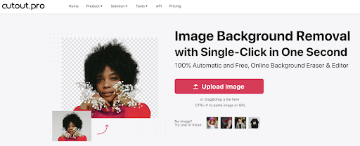 Top 10 Tools to Remove Background from Photo